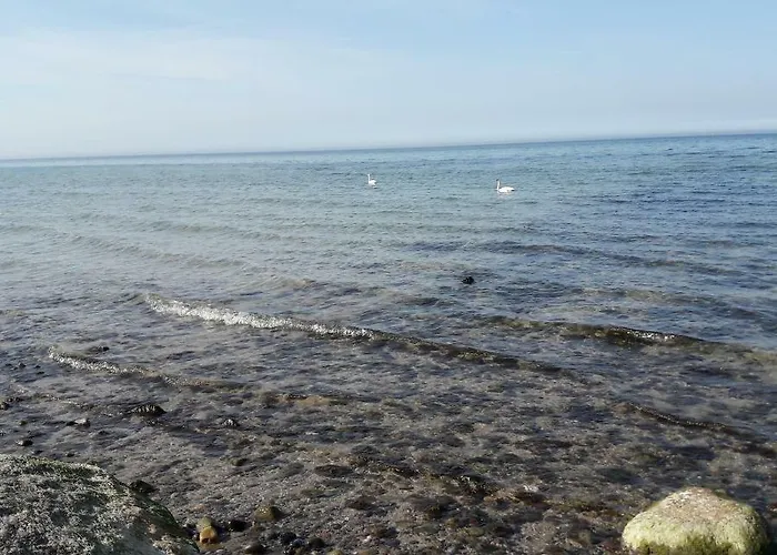 Windsbraut Im Immenbarg Rostock